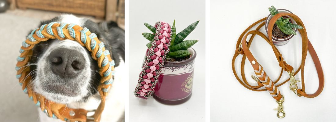 Leder-Paracord Leine und Halsband